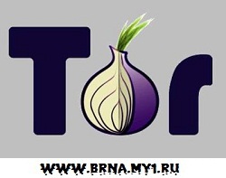 Tor Browser Bundle v2.2.37-1